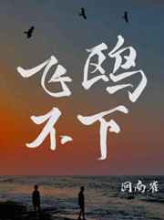 飞鸥不下未删减txt